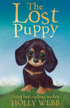 The Lost Puppy Holly Webb